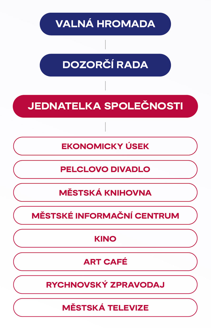 Struktura společnosti
